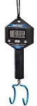 DS-1 digital scale