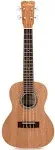 Cordoba 15cm Concert Mahogany Ukulele