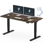 FLEXISPOT E6 Essential 3 Stages Dual Motor Electric Standing Desk 48x30 Inch Whole-Piece Board Height Adjustable Desk Electric Sit Stand Desk(Black Frame + Black Desktop, 2 Packages)