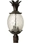 Acclaim Lighting Lanai Outdoor 3-Light Lantern Head; Black Coral