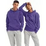 Champion, Powerblend, Fleece Comfortable Hoodie, Sweatshirt for Men (Reg. Or Big & Tall)