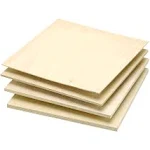 Woodcraft Woodshop Single Piece of Baltic Birch Plywood, 9mm - 3/8" x 12" x 12"