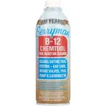 Berryman 0116 B-12 Chemtool Injector Cleaner, 15 oz Can Clear