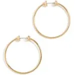 Jenny Bird Icon Hoops