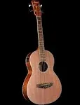 Ibanez PCBE12MH Acoustic-Electric Bass - Open Pore Natural Guitar