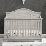 Delta Children Asher 6-in-1 Convertible Crib with Toddler Rail