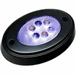 T-H MARINE - OCL-1K-DP: BLACK OVAL COURTESY LED W/ MNT RING