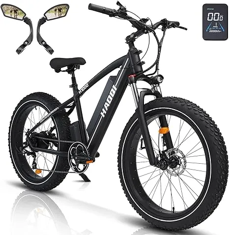 HAOQI Leopard Pro Electric Bike