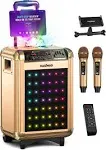 Masingo Portable Karaoke Machine for Adults & Kids 2 Wireless Microphones & LED Lights in Gold