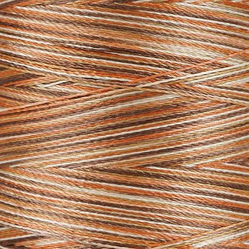 Isacord Variegated 1000m Bark Thread