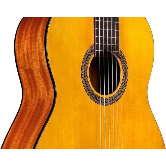 Cordoba Protege C1 Classical Guitar