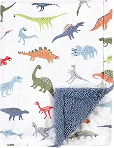 Hudson Baby Infant Boy Plush Blanket with Sherpa Back, Dinosaurs, One size, Blue