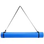 Poster Tube with Strap, Blue Expandable Storage Tube (24 to 40 Inches)