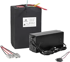 72V Ebike Battery 20AH 25AH 30AH 40AH 50AH 60AH 80AH Lithium LiFePO4 Battery Pack with 5A/10A Fast Charger and 50A/80A BMS fit for 5500W-250W Motor