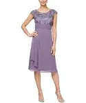 Alex Evenings Women's Short Sleeveless A-line Gown with Embroidered Empire Bodice, Cocktail Dress for Special Occasions