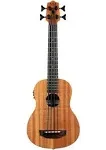 Nomad Acoustic-Electric U•BASS® | Reverb