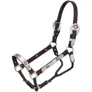 Tough 1 Royal King Gold and Black Inlay Show Halter