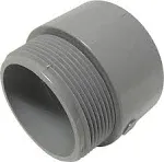 Cantex - 5140109C - 2-1/2 in. Dia. PVC Male Adapter - 1/Pack