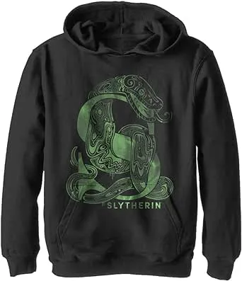 Boy's Harry Potter Slytherin S Logo Pull Over Hoodie - Black - Large