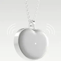 bond Heart necklace