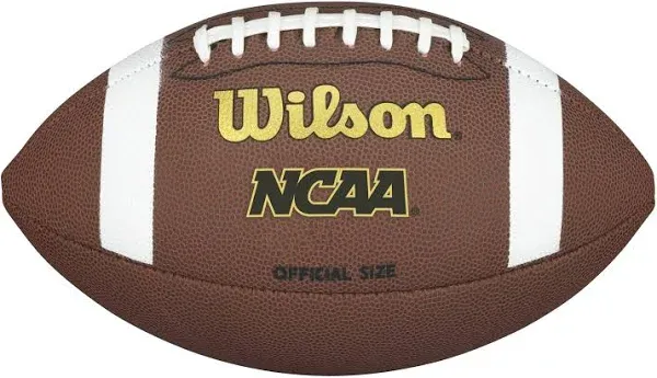 Wilson NCAA Composite Football