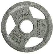 Cast Iron Weight Plate for Strength Training &amp; Weightlifting