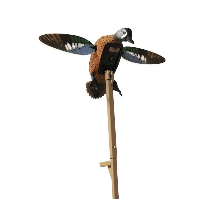 Mojo Elite Series - Blue Wing Teal - Remote Ready