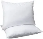 Amazon Basics Down Alternative Bed Pillows and Pillow Protector Case 2-Piece, B0