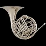 C.G. Conn 8D Double French Horn