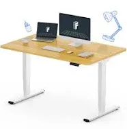 FLEXISPOT E6 Essential Electric Standing Desk