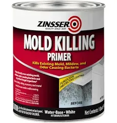 Zinsser Mold Killing Primer