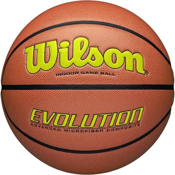 Wilson Evolution Game Basketball