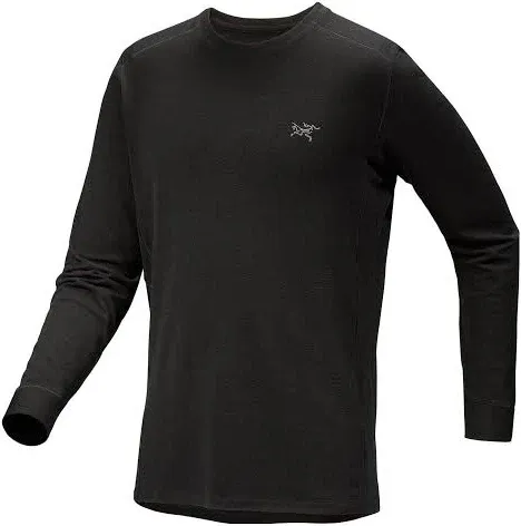 Arcteryx Remige Series Sweatshirt Men