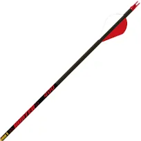 Gold Tip Hunter 300 Arrows with 2-Inch Raptor Vanes (1-Dozen)