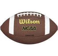 Wilson NCAA Composite Football