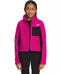 North Face Teen Girls Large Snap Fleece Colorblock Youth Jacket Coat Mashup $99