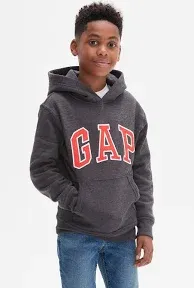 GAP Baby Boys' Playtime Favorites Logo Full Zip Hoodie Hooded Sweatshirt