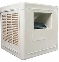 Dayton Ducted Evaporative Cooler 4RNP5