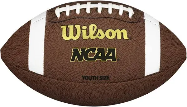 Wilson NCAA TDY Youth Composite Football