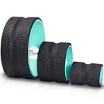 Chirp Wheel+ for Back Pain Relief