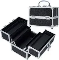  Makeup Organizer Case Portable Train Case Cosmetic Box 4 Trays Shiny Black