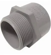 Cantex 2" PVC Male Terminal Adapter