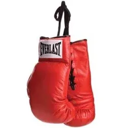 Everlast Autograph Vinyl Boxing Gloves