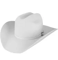 Bailey Lighting Western Hat White