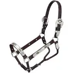 Royal King Gold & Black Silver Show Halter