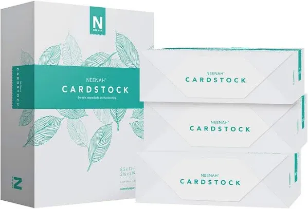  Vellum Bristol Cardstock, Lightweight, 325 Sheets, 67 lb/147 gsm, 94 Ream 67lb