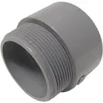 Cantex 5140108 2in Terminal Adapter, PVC