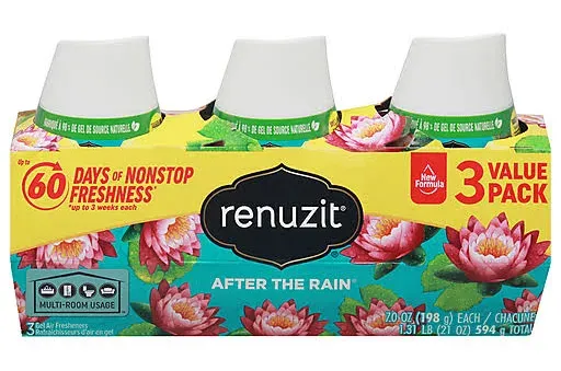 Renuzit After the Rain Air Freshener