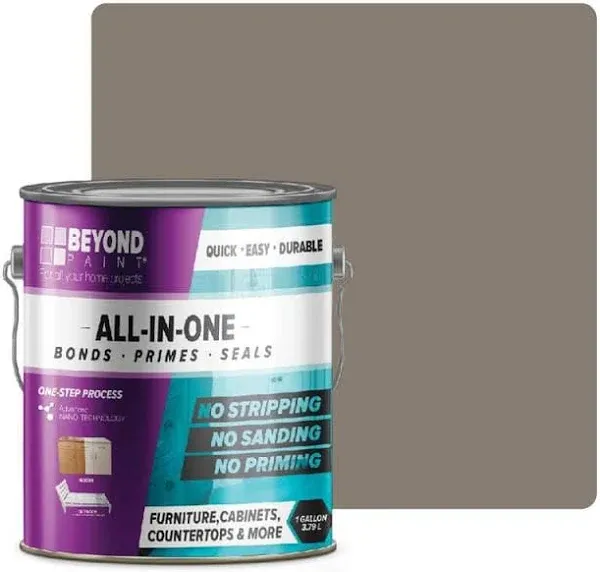 BEYOND PAINT All in One Paint