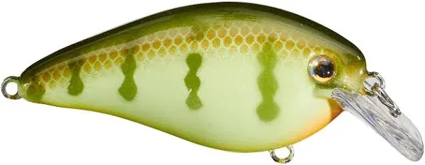 Strike King KVD Square Bill 1.5 Pro-Model Crankbait